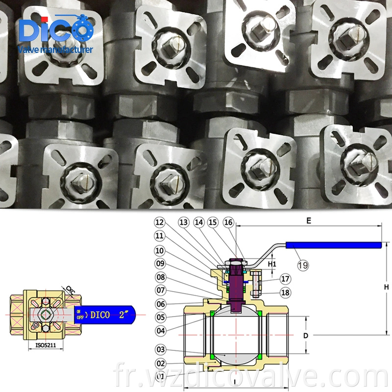 Wenzhou Chine moulage de précision CF8/CF8m avec vanne à boisseau sphérique 2PC à embout à vis ISO5211